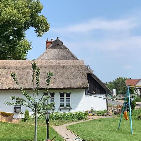 Ferienhaus Alte Schule Rambin Auf Ruegen ภายนอก รูปภาพ